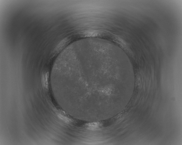 X0000062630118200601041041