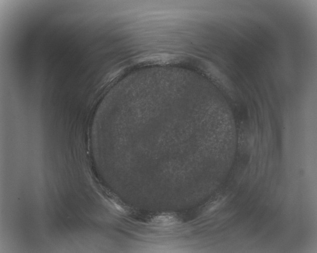 X0000062630119200601041041