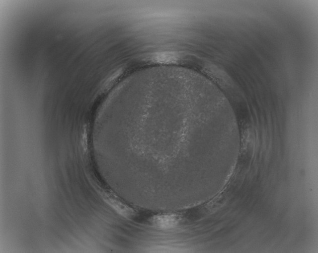 X0000062630120200601041041