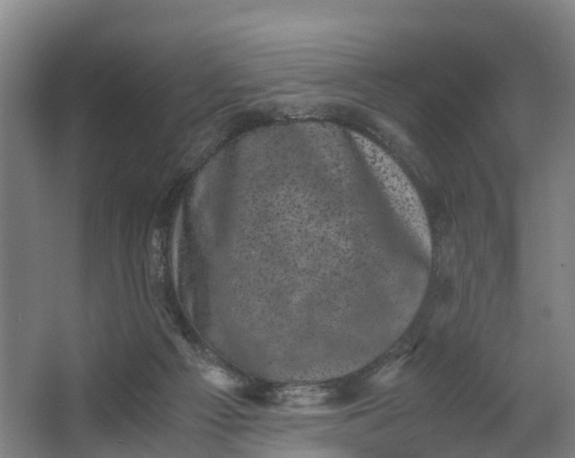 X0000062630121200601041041