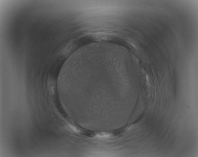 X0000062630125200601041041