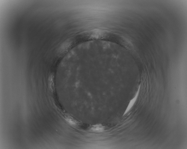 X0000062630127200601041041