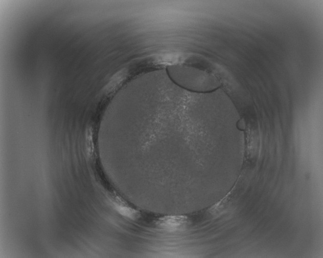 X0000062630128200601041041