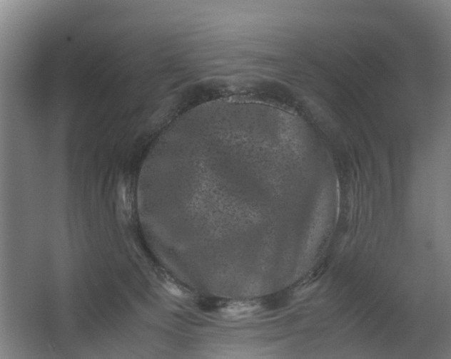 X0000062630129200601041041