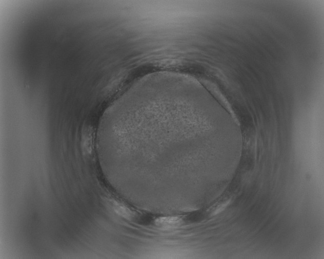 X0000062630133200601041041