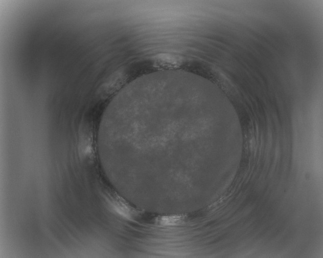 X0000062630134200601041041