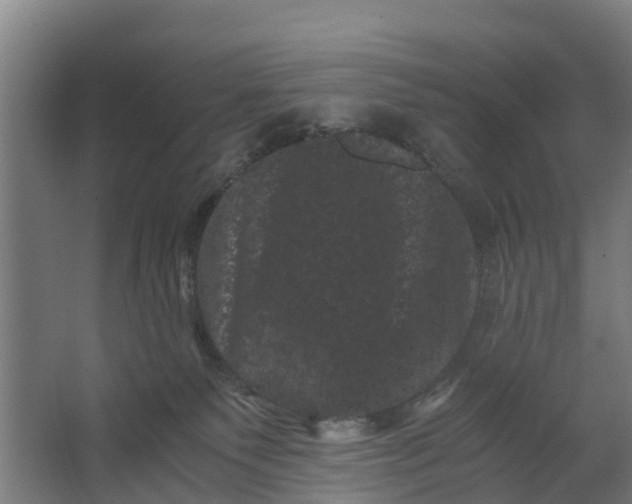 X0000062630135200601041041