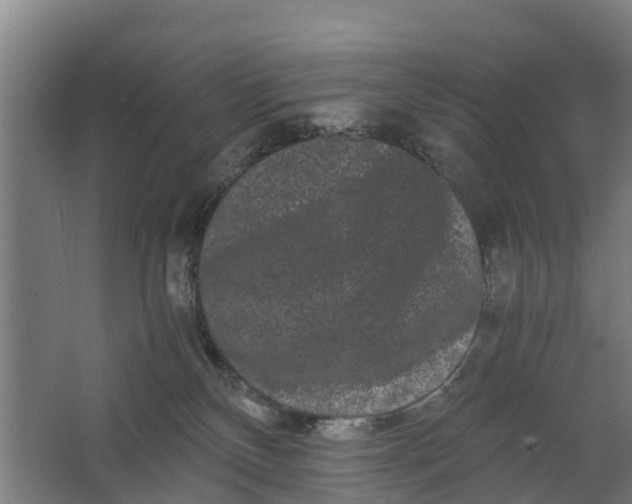 X0000062630136200601041041