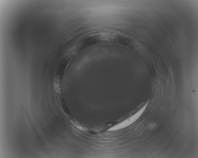 X0000062630137200601041041