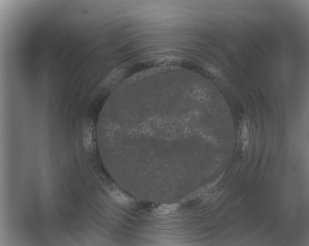 X0000062630138200601041041