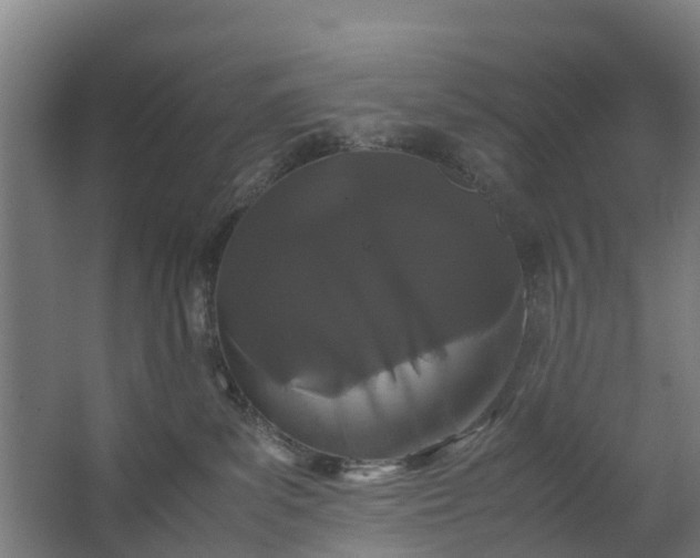 X0000062630139200601041041