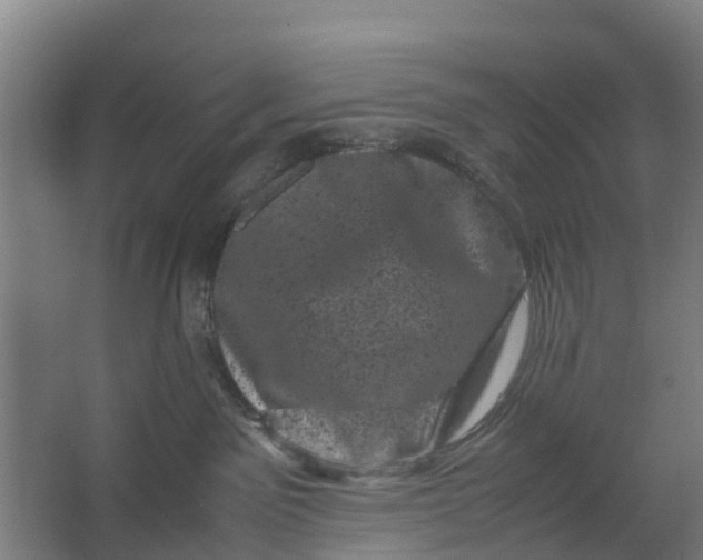 X0000062630141200601041041