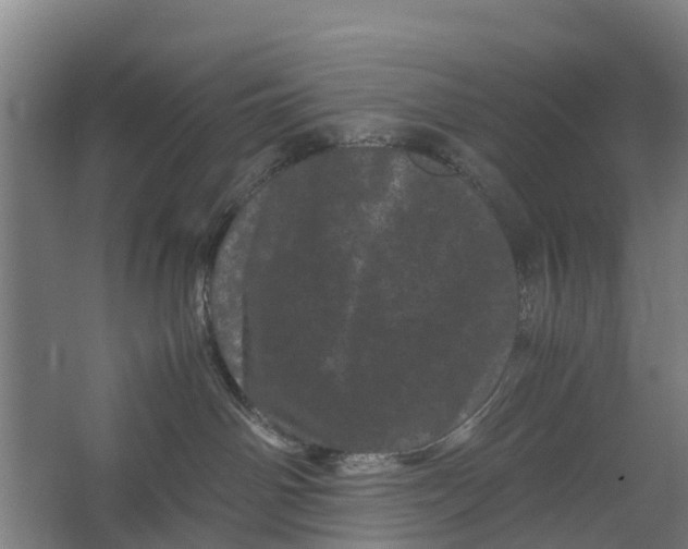 X0000062630142200601041041