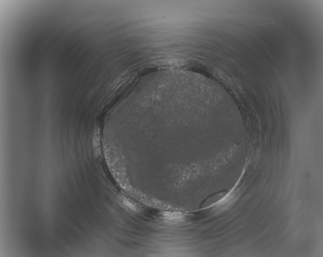 X0000062630144200601041041