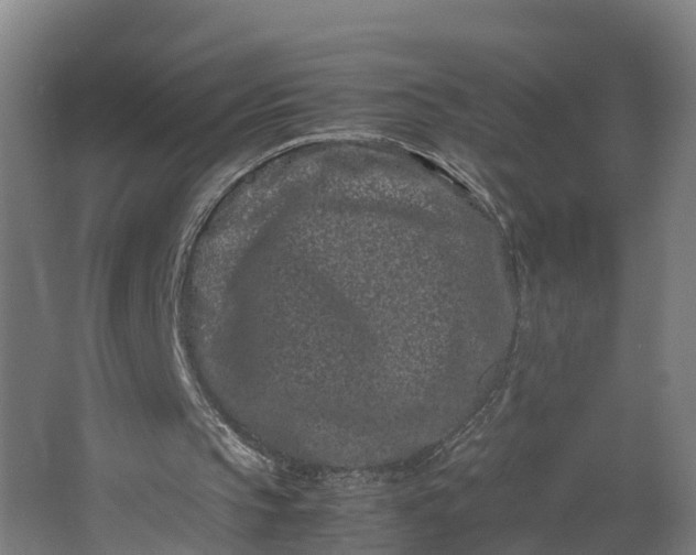 X0000062630145200601041040