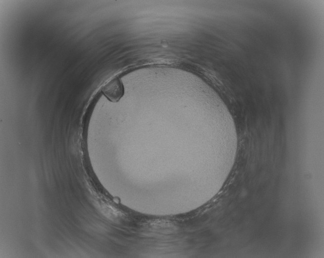 X0000062630146200601041040