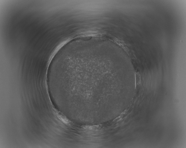 X0000062630147200601041040