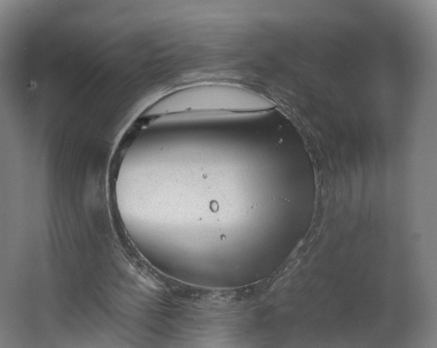 X0000062630148200601041040