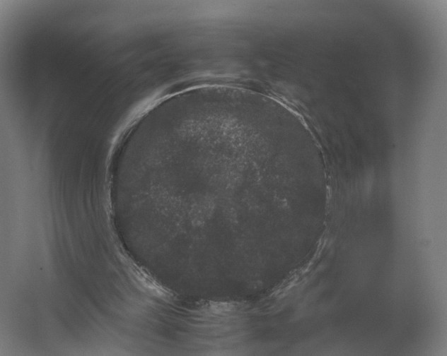 X0000062630149200601041040