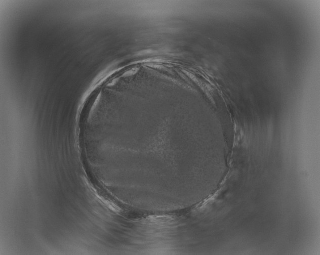 X0000062630150200601041040