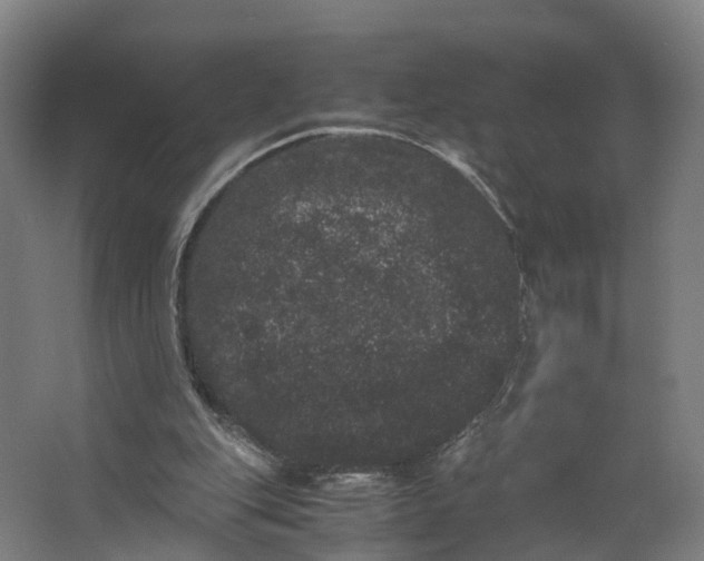 X0000062630151200601041040