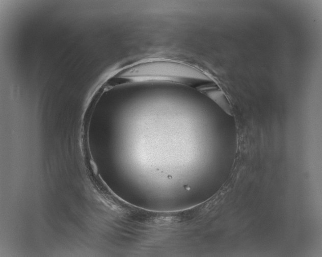 X0000062630152200601041040