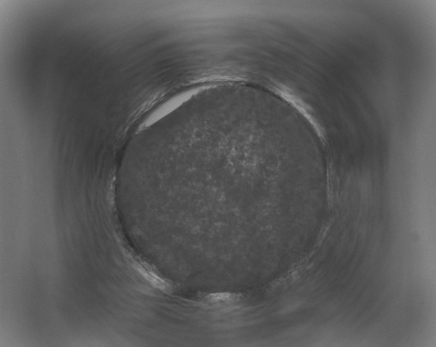 X0000062630153200601041040