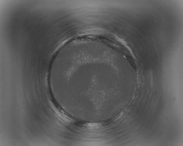 X0000062630154200601041040