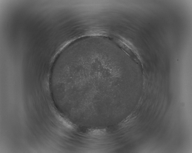 X0000062630155200601041040