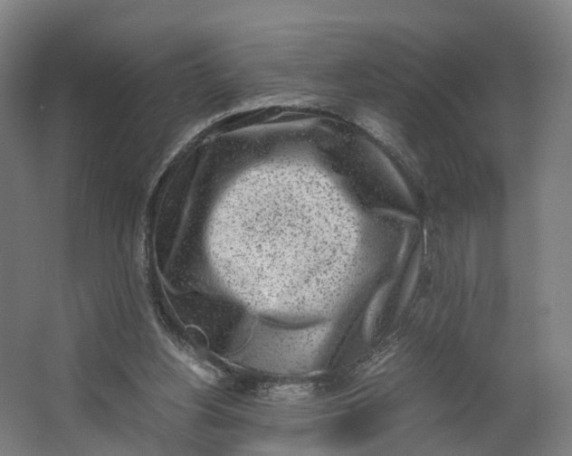 X0000062630156200601041040