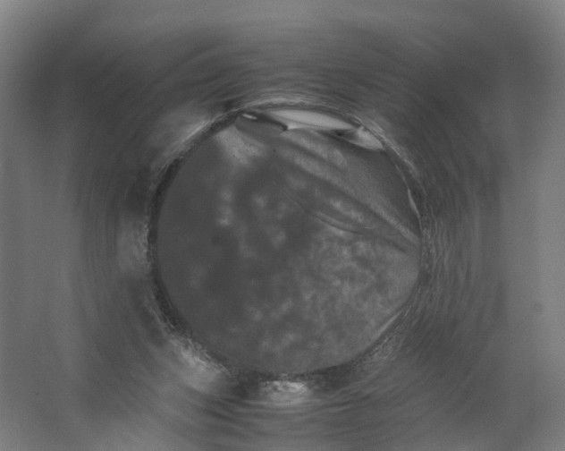 X0000062630159200601041040