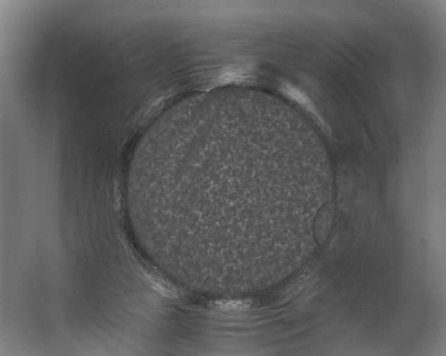 X0000062630161200601041040