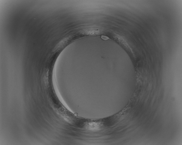 X0000062630163200601041040