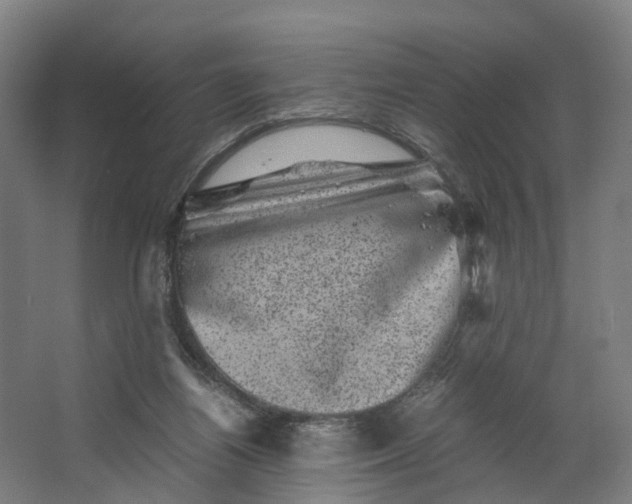 X0000062630164200601041040