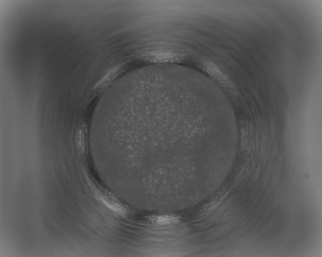 X0000062630165200601041040