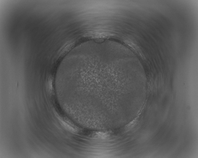 X0000062630166200601041040