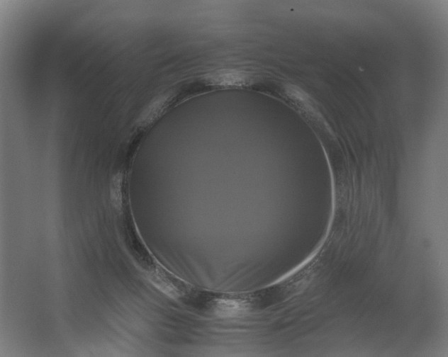 X0000062630167200601041040