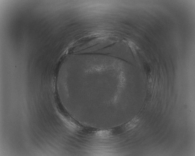 X0000062630168200601041040