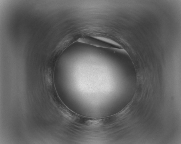 X0000062630170200601041040