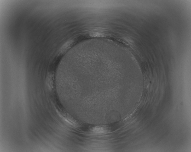 X0000062630171200601041040