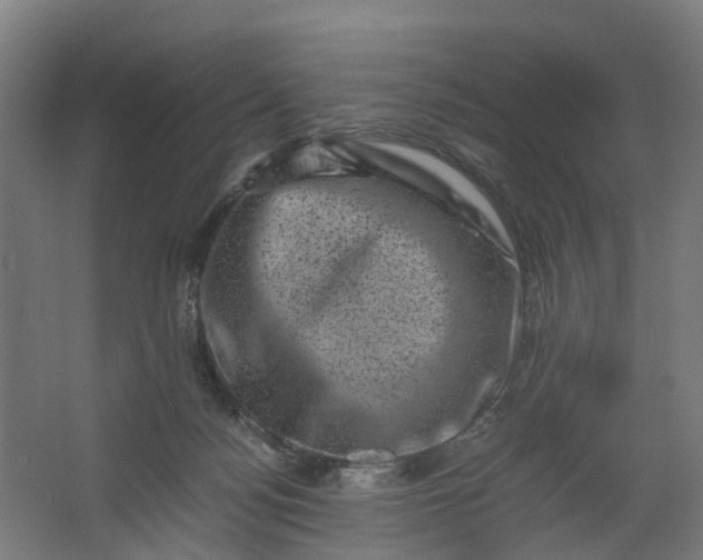 X0000062630172200601041040