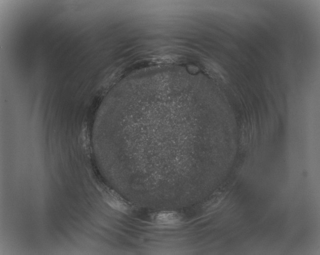 X0000062630173200601041040