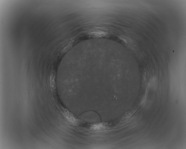 X0000062630177200601041040