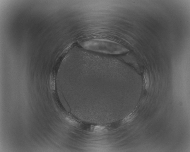 X0000062630180200601041040