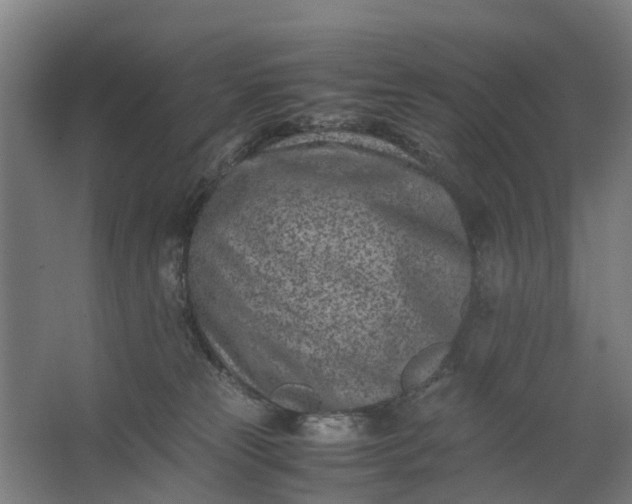 X0000062630181200601041040