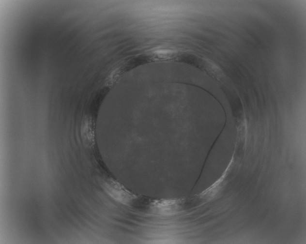 X0000062630186200601041041