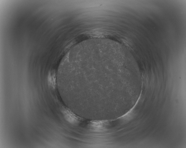 X0000062630190200601041041