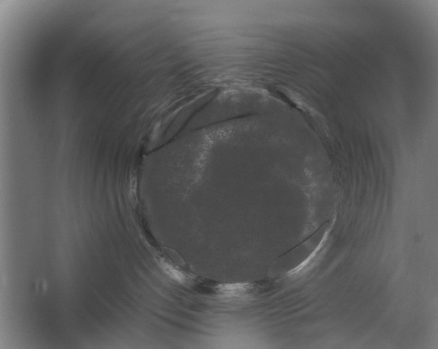 X0000062630192200601041041