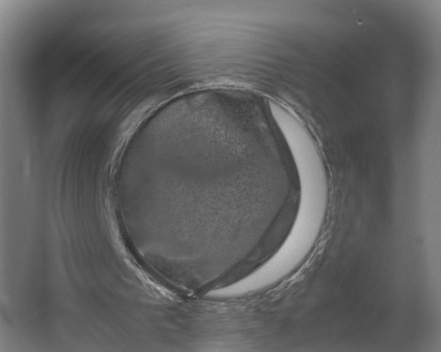 X0000062630193200601041040