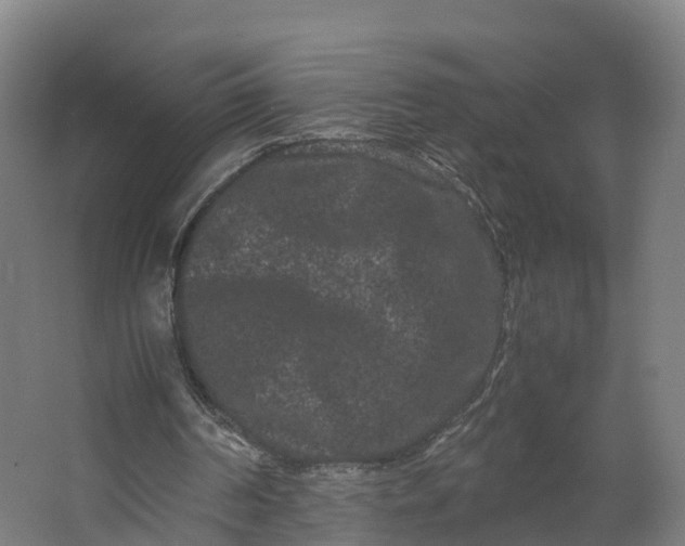 X0000062630194200601041040